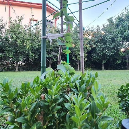 Vila Vasile Navodari Dış mekan fotoğraf