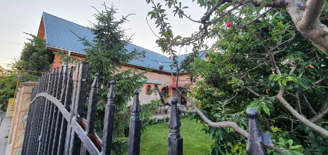 Vila Vasile Navodari Dış mekan fotoğraf