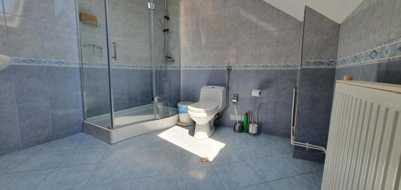 Vila Vasile Navodari Dış mekan fotoğraf